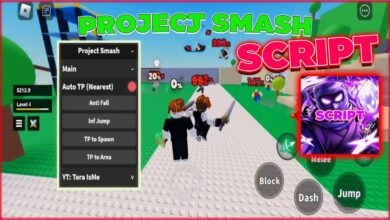 NS Hub Project Smash Mobile Script
