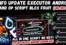 Ganteng Hub Blox Fruits Mobile Script